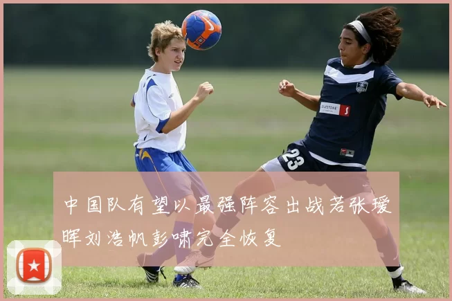 中国队有望以最强阵容出战若张瑷晖刘浩帆彭啸完全恢复